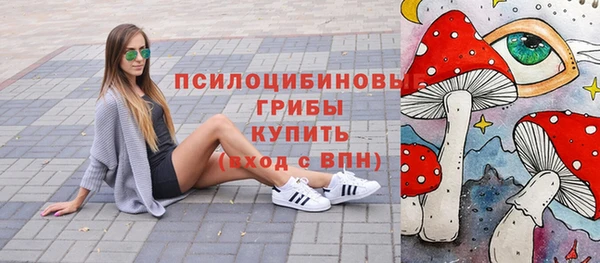 крисы Инсар