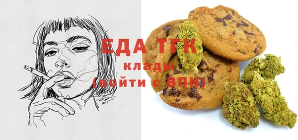 крисы Инсар