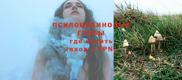 крисы Инсар